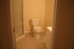 Basement Bathroom with Shower in Germantown, Maryland