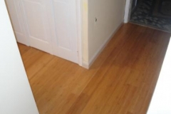 blogmedia-101128055218_bamboo_flooring___painting_oxon_hill_maryland_2_