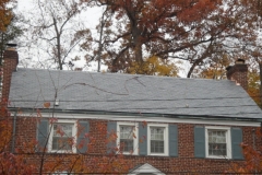 blogmedia-101128064558_slate_roof_washington_d.c._4