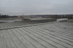 Before Commercial Flat Roof