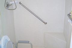 blogmedia-100115024314_white_shower2