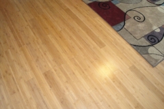 Bamboo Flooring