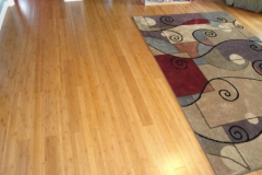 Bamboo Flooring in Howard County